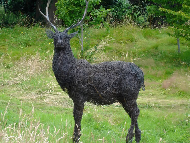 I researched this bronze wire sculpture of a Stag for a Surrey garden by taking a trip up to Morar in Scotland. Templating the antlers for forging in mild steel.